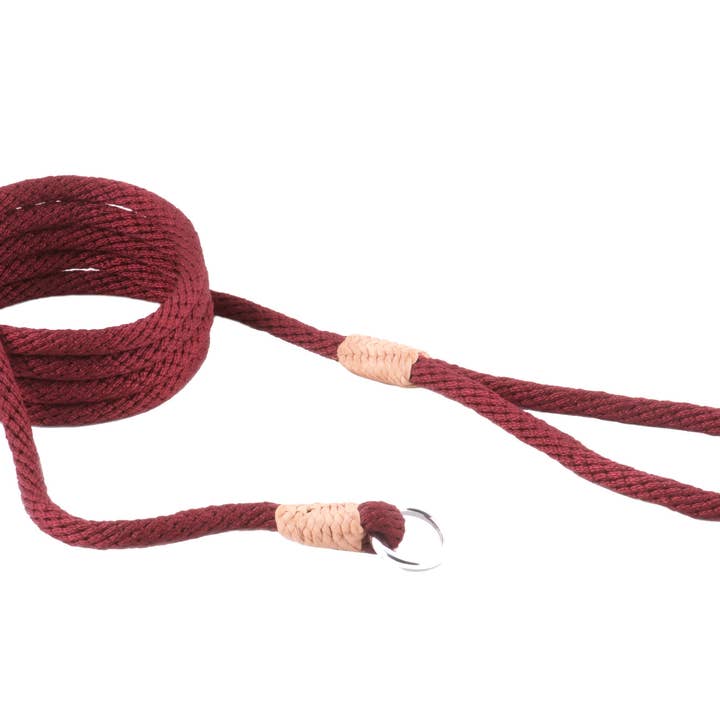 Alvalley - Wholesale Pet Leash - Dog - Nylon Slip Leads199