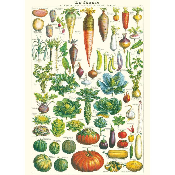 Cavallini & Co - Wholesale Poster - Cavallini Poster/Gift Wrap - Le Jardin