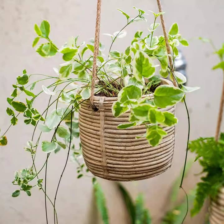 Rustic Reach - Wholesale Hanging Planter - Faux Rattan Cement Hanging Planter4