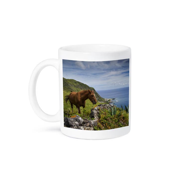 3dRose - Wholesale Coffee Mug - 3dRose, Portugal, Azores, Santa Maria Island, Maia. Horse in coastal pasture, Mug8