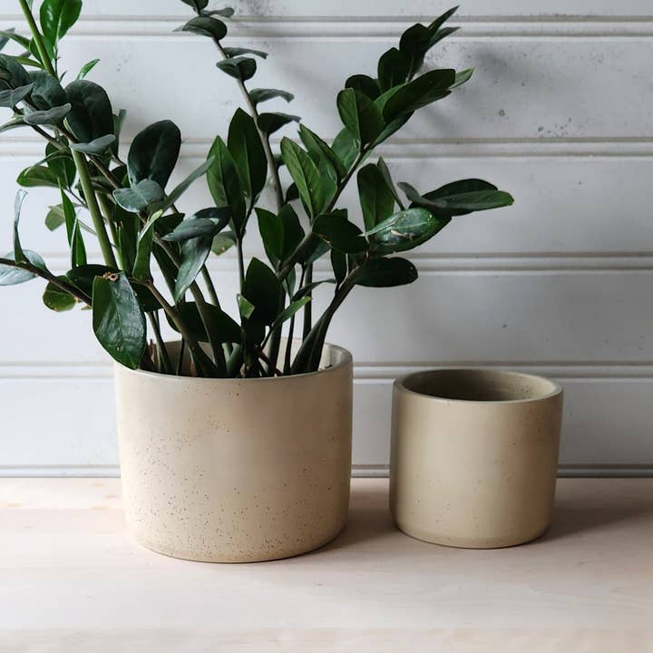 Cylinder Planter- 5" and 7" Cream for wholesale by Plant 'er Here