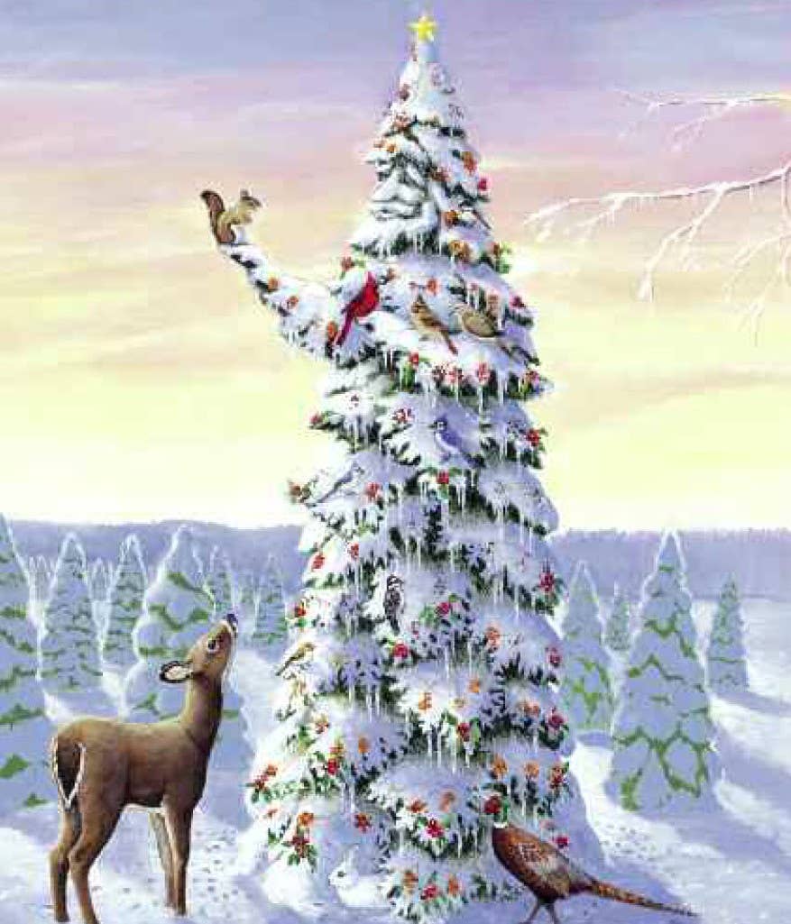 Sleeping Bear Press - Wholesale Baby & Toddler Book (0-2) - A Wish to be a Christmas Tree Board Book6