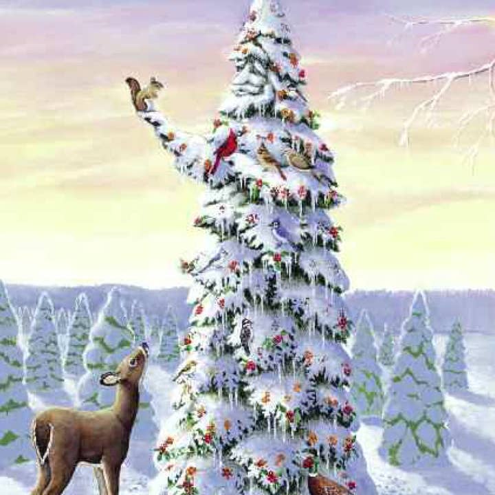 Sleeping Bear Press - Wholesale Baby & Toddler Book (0-2) - A Wish to be a Christmas Tree Board Book6