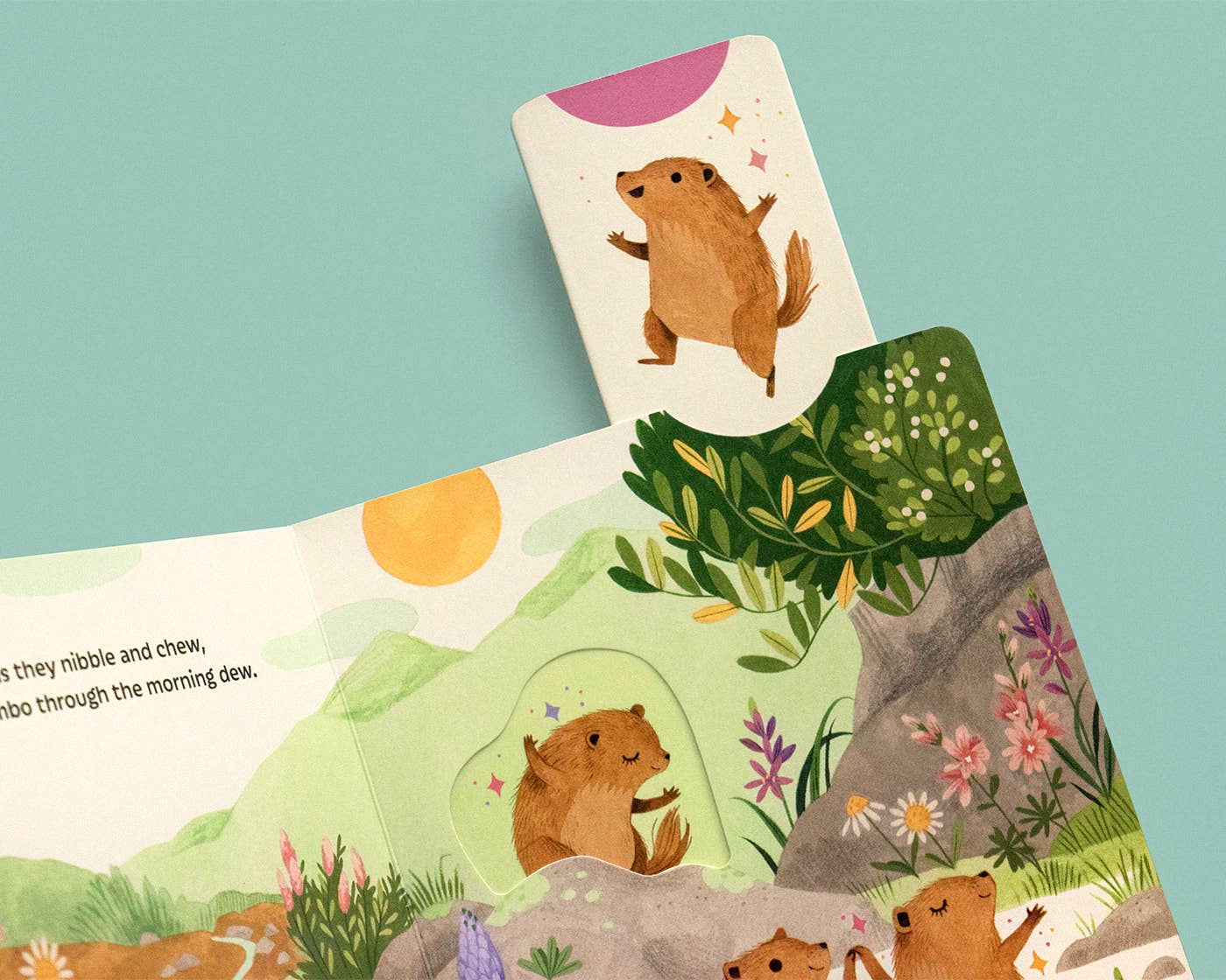 Chronicle Books - Wholesale Preschool Book (3-5) - Sunrise Dance14