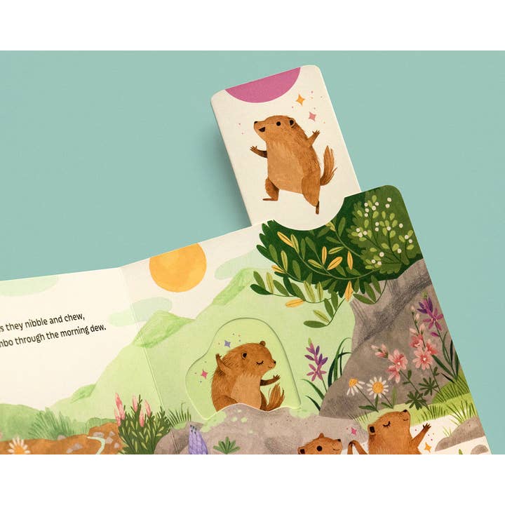 Chronicle Books - Wholesale Preschool Book (3-5) - Sunrise Dance14