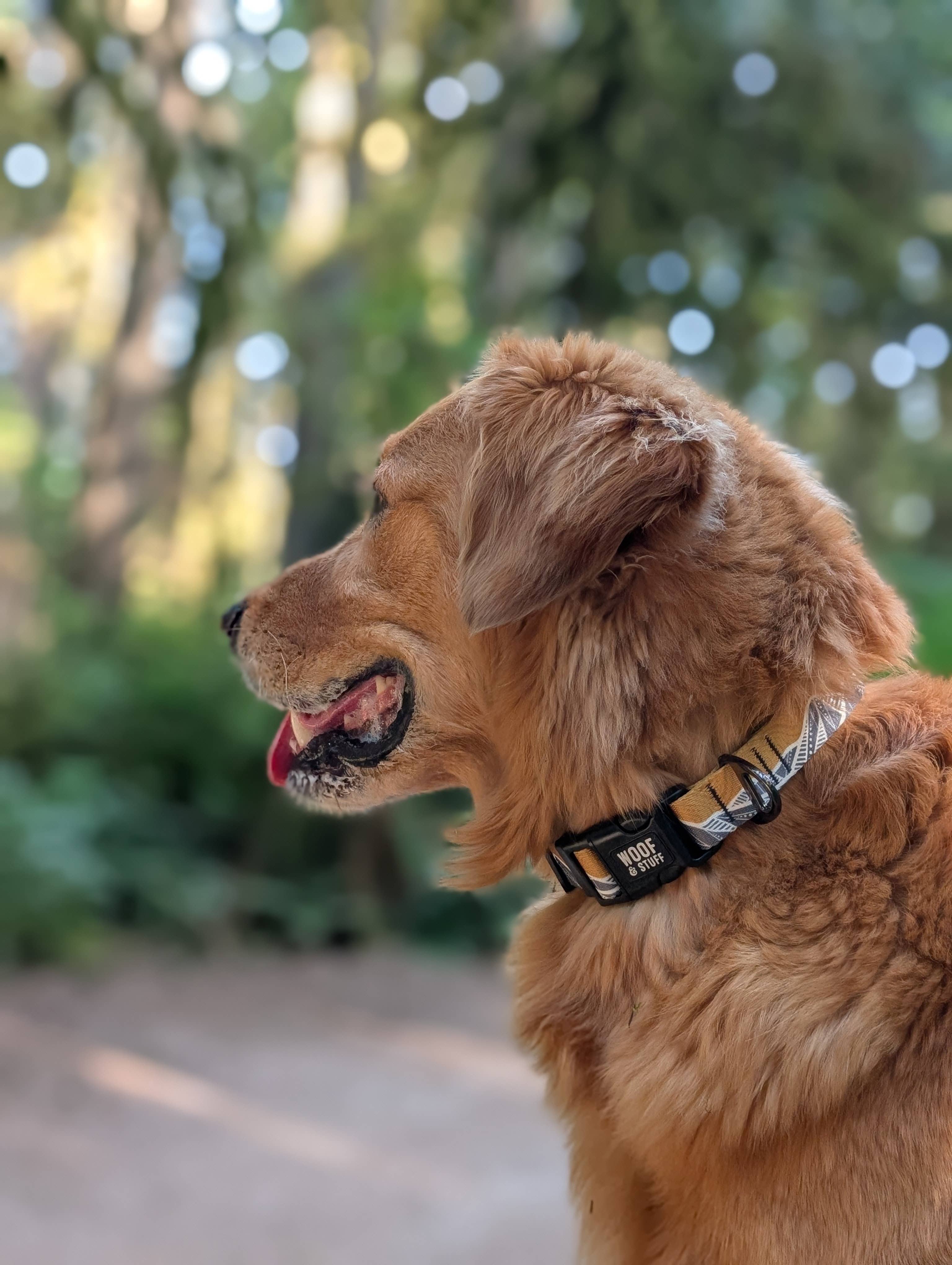 Woof & Stuff - Wholesale Pet collar – Dog - Mountain Mornings Collar