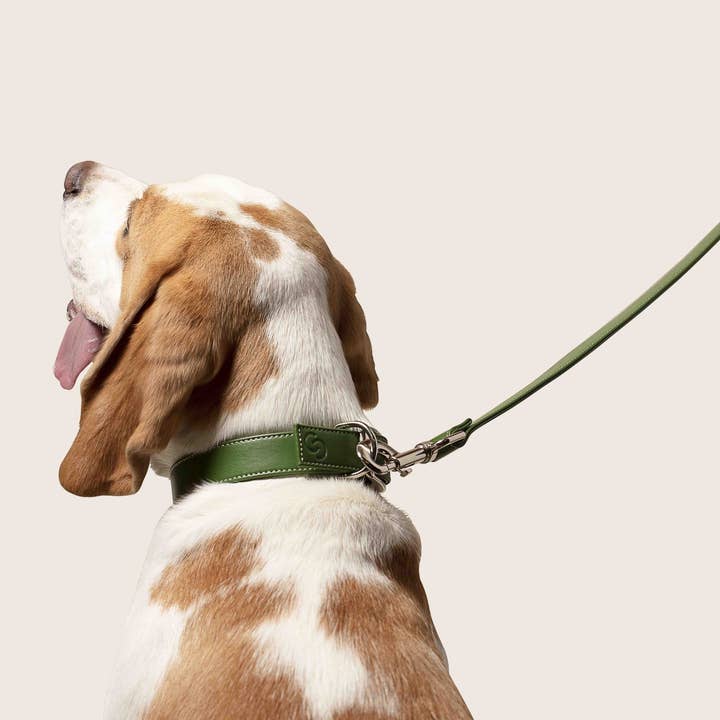 Skylos Collective – wholesale Pet poo bag – Oceanex Dog Poo Bags (20pcs) Made with Oyster Shell Extract1