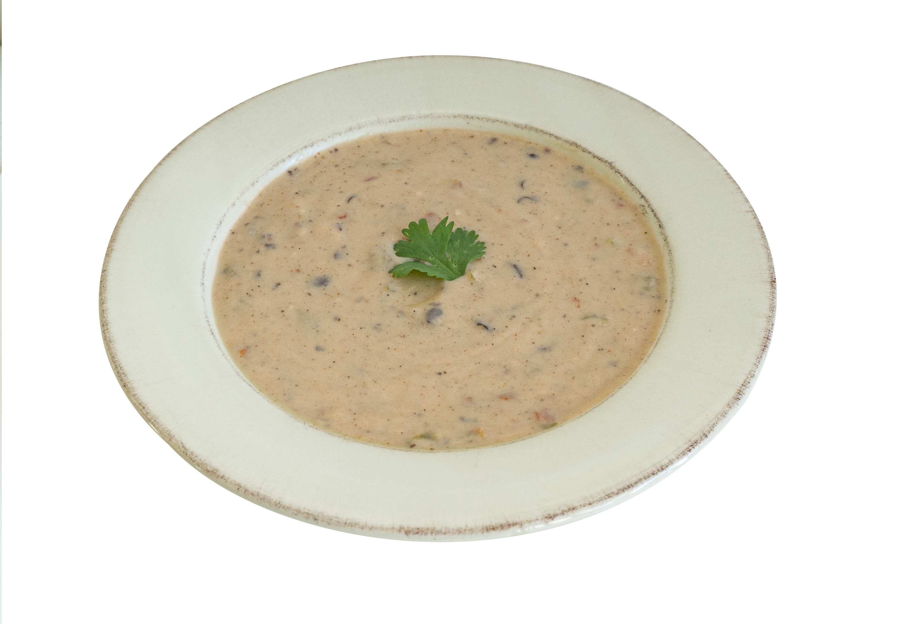 Wildwood Specialty Foods - Wholesale Soup - Southwest Cheddar Soup Mix2