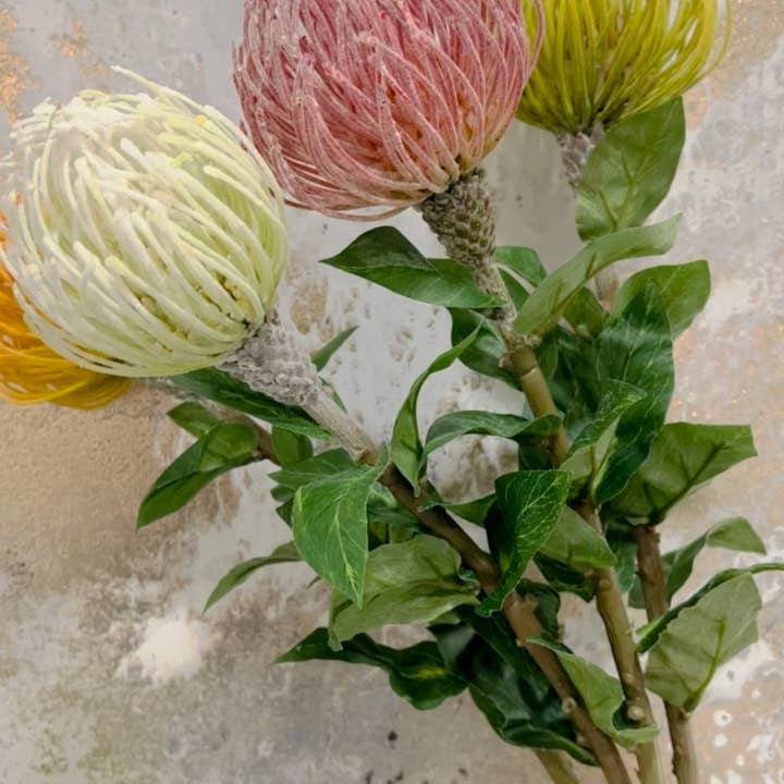Angel Isabella - Wholesale Artificial Flowers - 29"Large Artificial Saffron Pincushion Needle Protea7