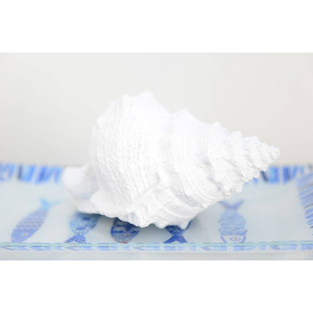 AULICA - Wholesale Decorative Tabletop Object - Decorative white shell 24x16x13cm1