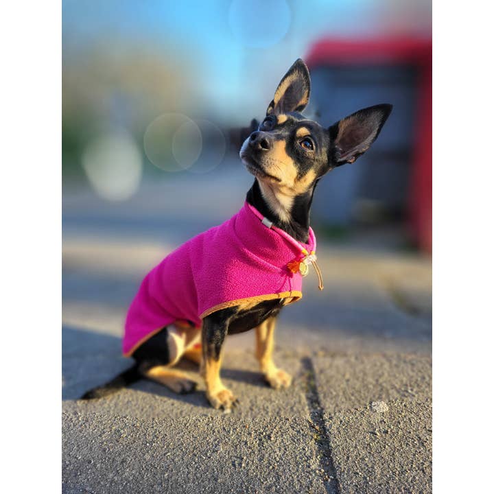 woof & wiggle - Wholesale Pet Collar - Dog - Katsuki EM ceramic dog collar against ticks5