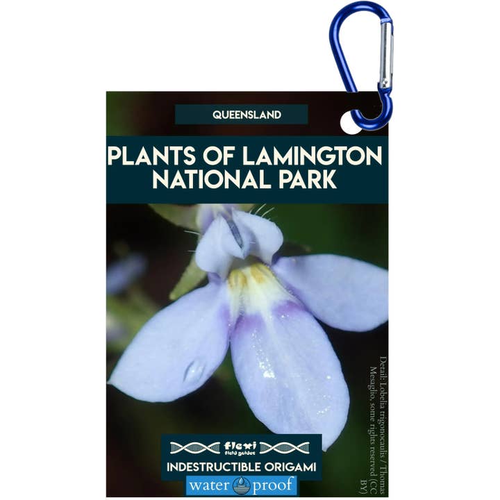 Plants of Lamington NP-Indestructible Origami for wholesale by Flexi Field Guides