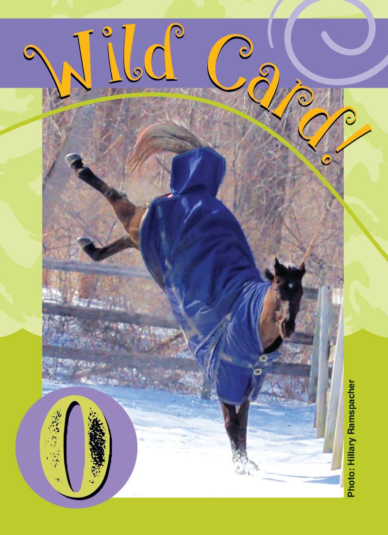 Horse Hollow Press | Pretty Snarky Equestrian Cards|Stickers - Wholesale Card Game - Fun Horse Go Graze Card Game for Kids & Families –Gift Ready17