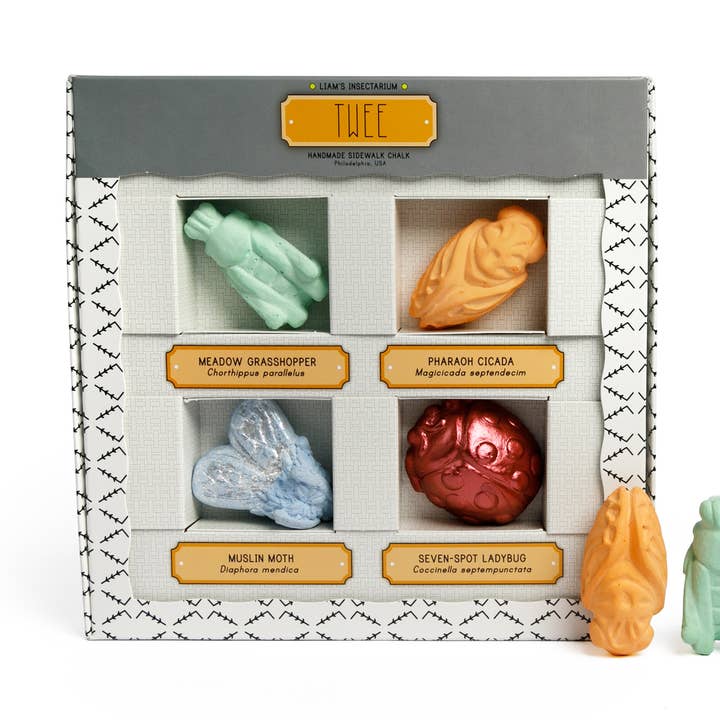 LIAMS INSEKTARIUM | TWEE HANDGJORD TROTTOARKRITA för wholesale av TWEE made for little hands