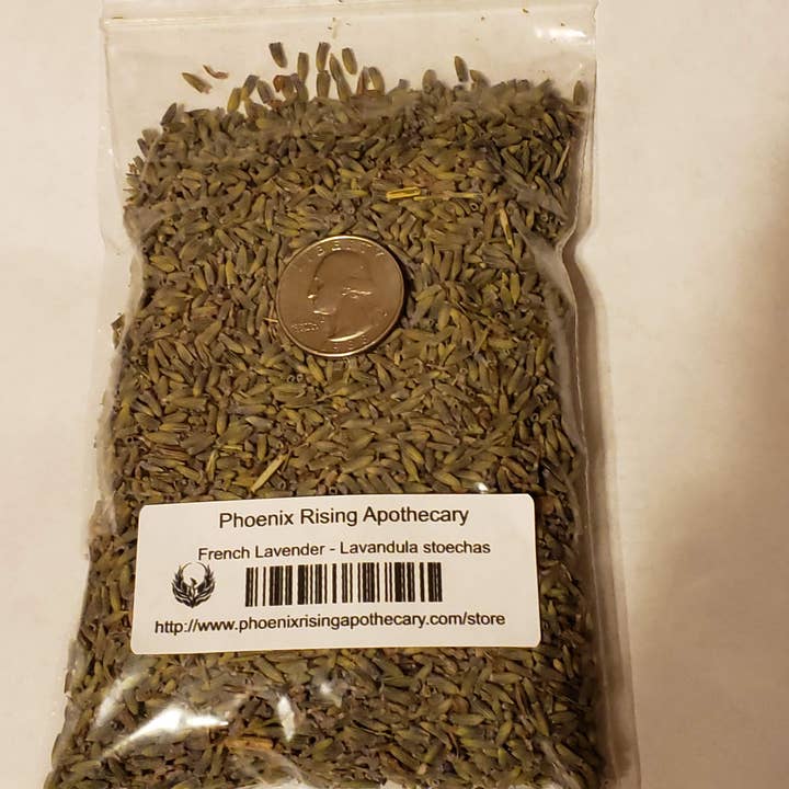 French (Mediterranean) Lavender - Lavandula stoechas for wholesale by Phoenix Rising Apothecary
