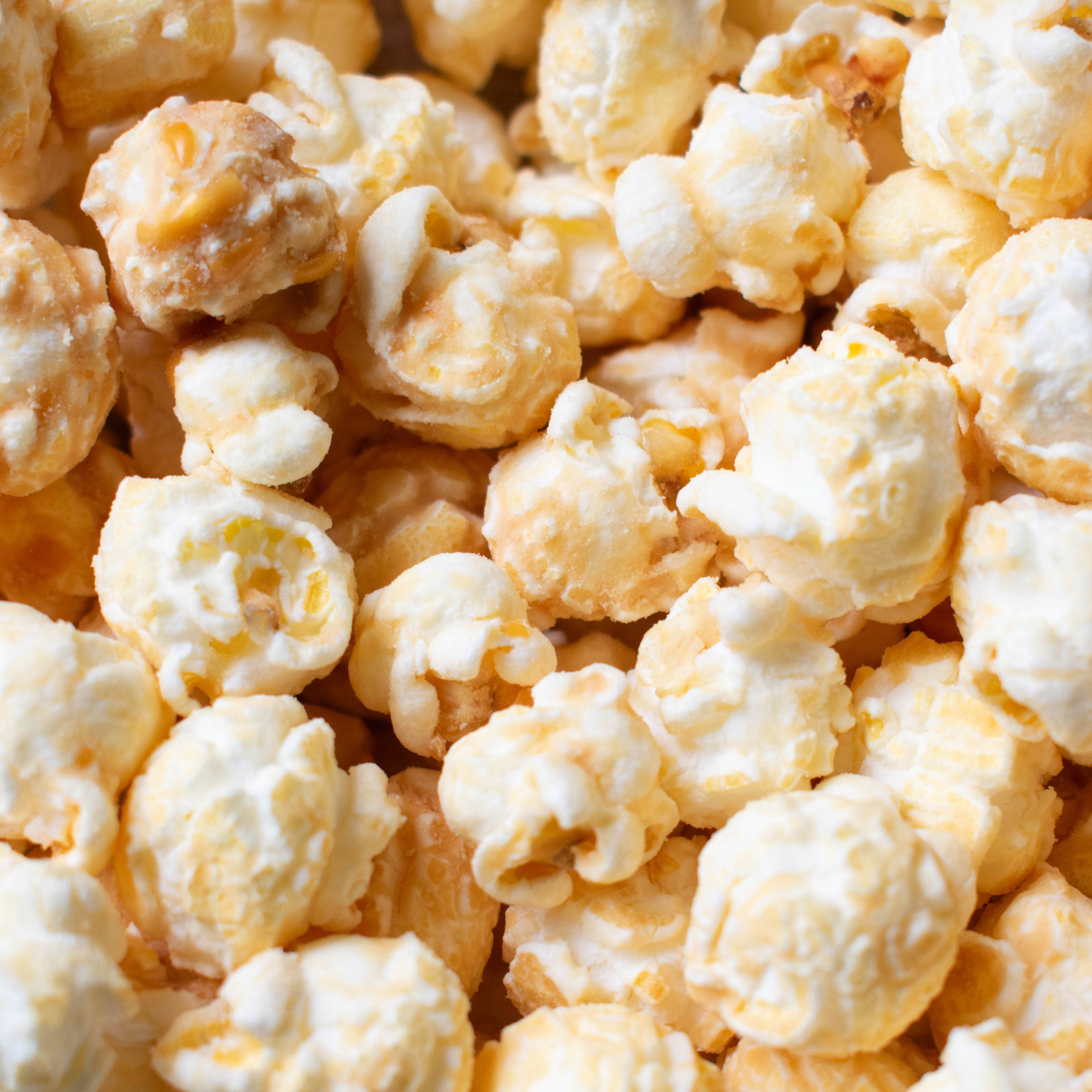 Popcorn Shed - Wholesale Popcorn - Say Cheese! Gourmet Popcorn Snack Pack1