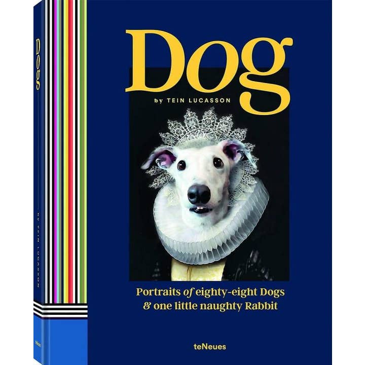 Dog: Portraits of Eighty-Eight Dogs & One Naughty Rabbit for wholesale by Microcosm Publishing & Distribution