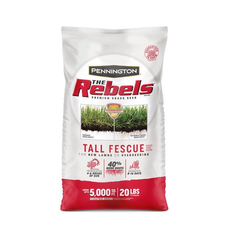 Everyday Supply Co - Wholesale Plant Seeds - Pennington Rebels Tall Fescue Grass Seed 20 lb0