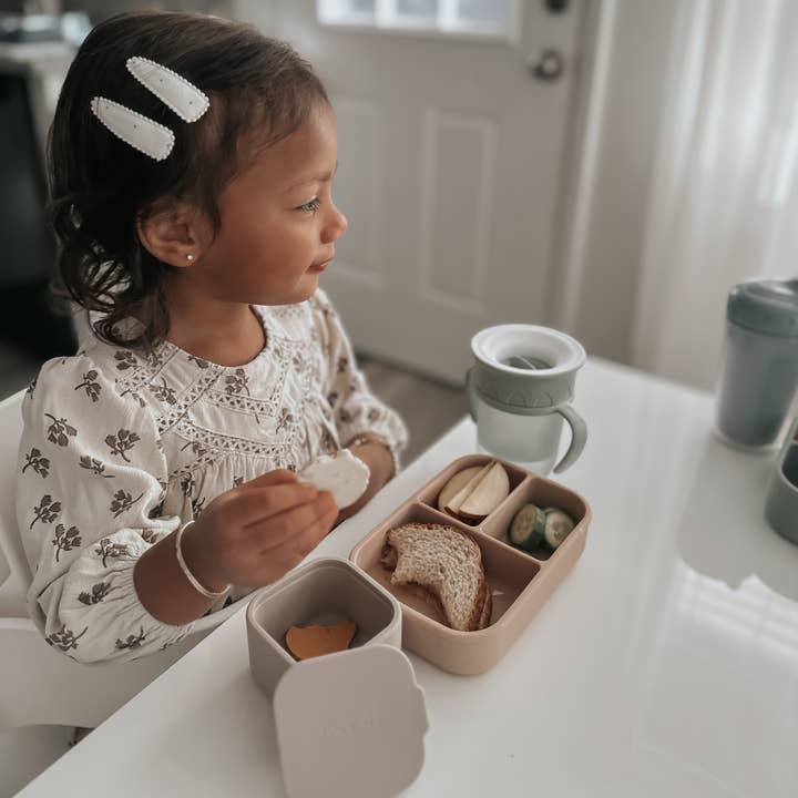 Maighan Distribution - Wholesale Food storage container - noüka Mini Snack Cups 2 PK - Soft Blush/Dust3