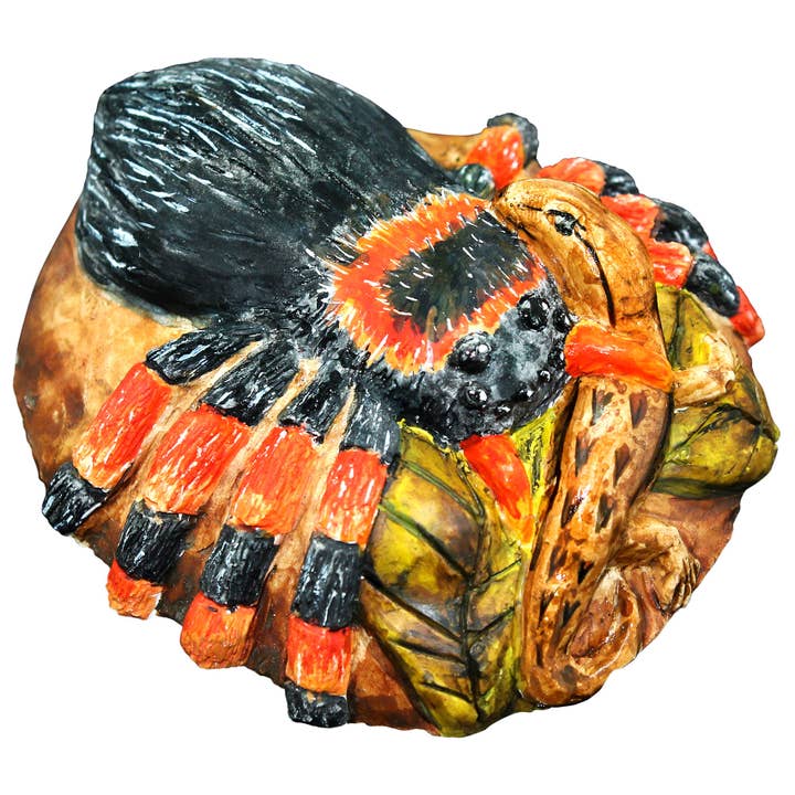 Learning Advantage - Wholesale DIY Craft Kit - Kids - Extreme Spiders of the World3