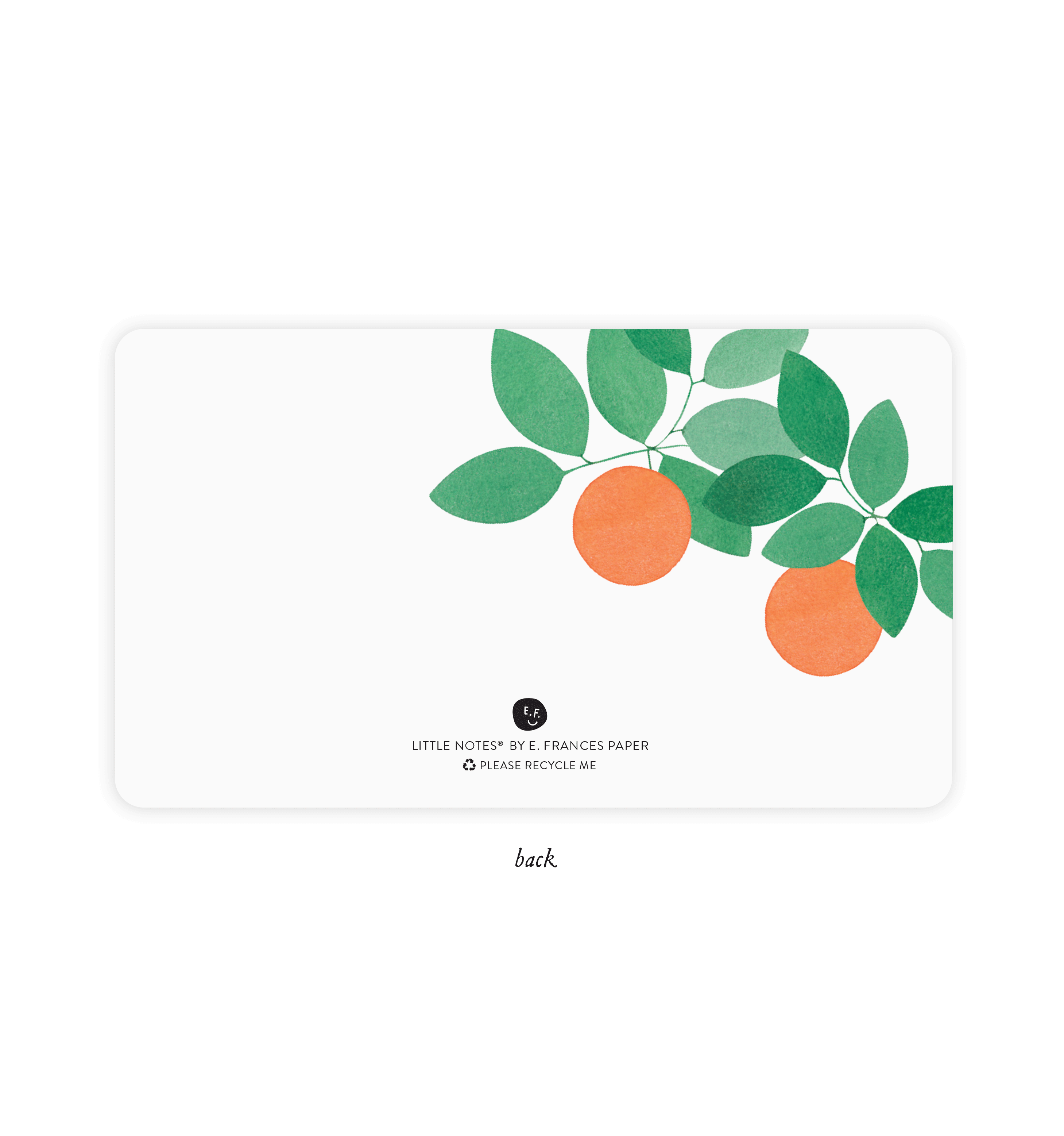 E. Frances Paper - Wholesale Stationery/Notecard Set - Orange Grove Little Notes® NEW 55 count3
