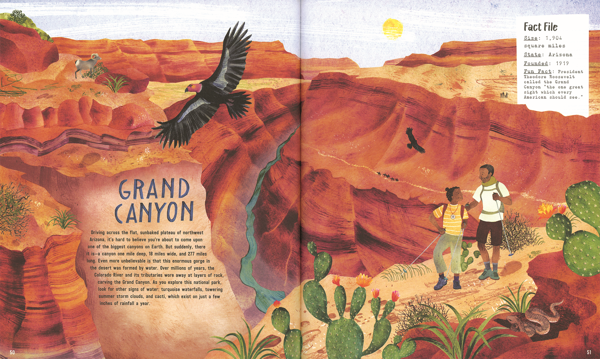 EDC Publishing - Wholesale Early Reader Book (6-8) - Explore! America's National Parks3