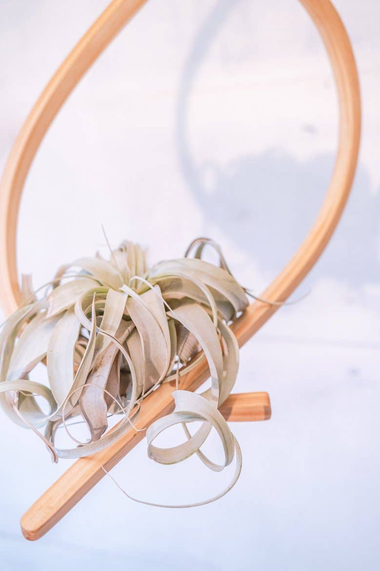 Horsemen Co. - Wholesale Hanging Planter - Sail Wood Plant Hanger, Hanging Planter Indoor, Indoor Hanging Planter, Air Plant Holder1