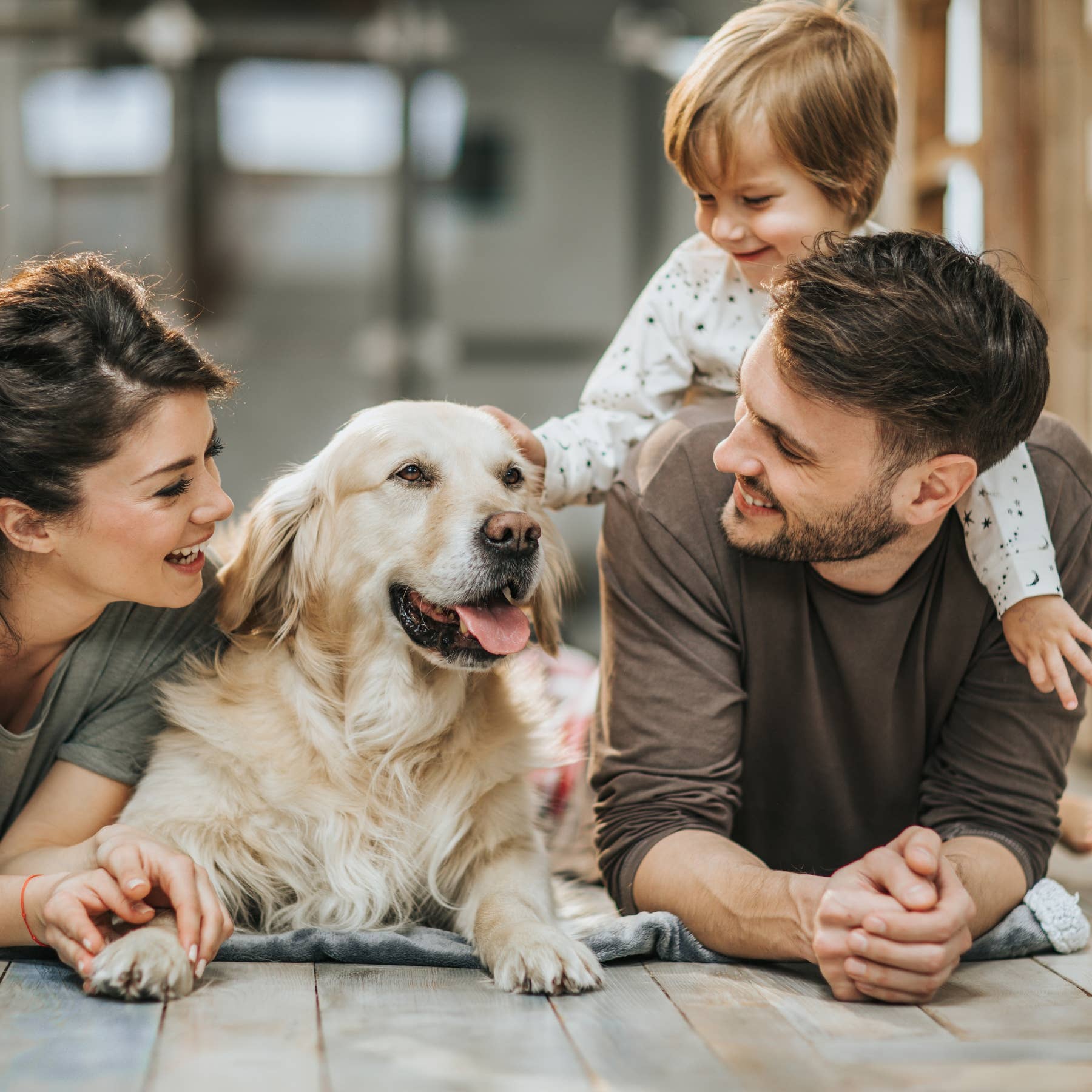 The Grandparent Gift Co. Inc. - Vente Objets de décoration - Cadeau pour la perte d'un animal - Étoile en vitrail Souvenirs de Patte 77166