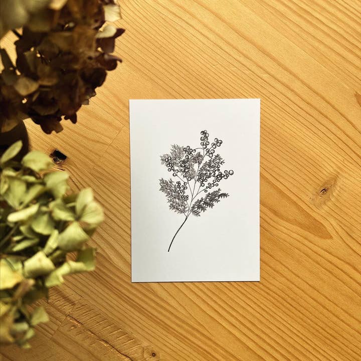 Postcard "Mimosa" (10.5 x 14.8 cm) for wholesale by Maëlle LESAGE