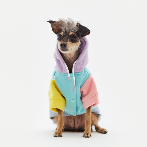 ARISTOPET - Wholesale Pet Hoodie - Dog - AUGUSTO AQUA HOODIE SWEATSHIRT6