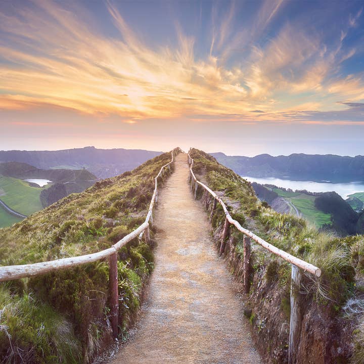 stretcher for wholesale by Bönninghoff