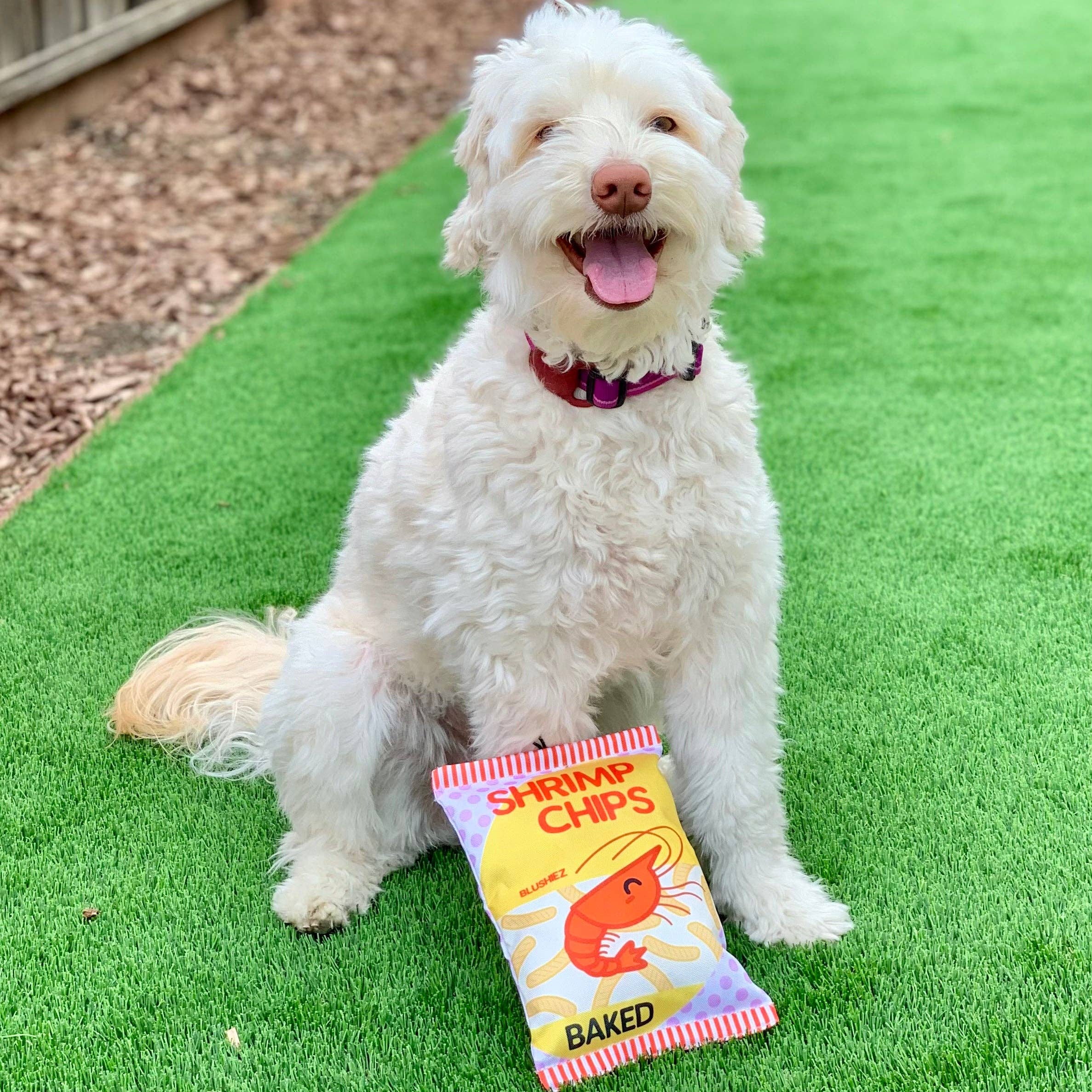 Blushiez - Wholesale Pet Plush Toy - Dog - Shrimp Chips Dog Toy4