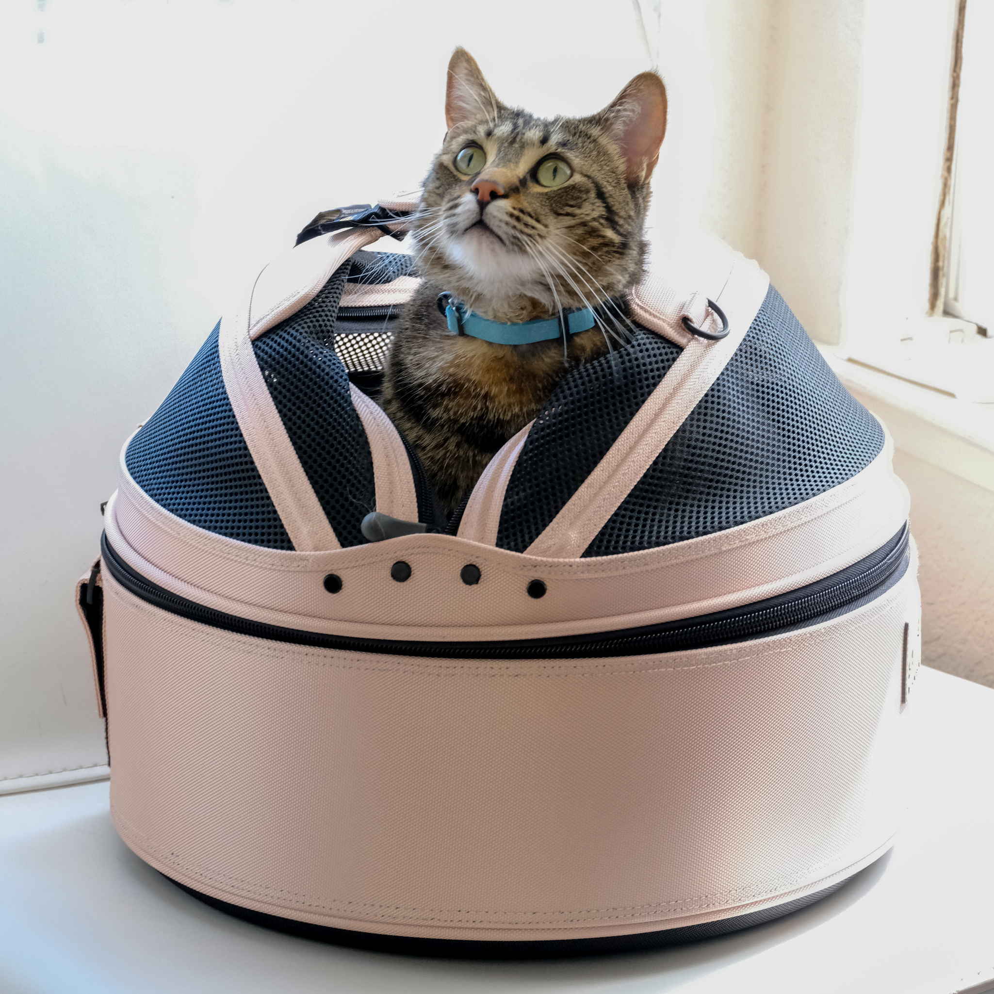 Sleepypod – wholesale Transportbur – Katt och hund – Sleepypod mobil husdjursbädd23