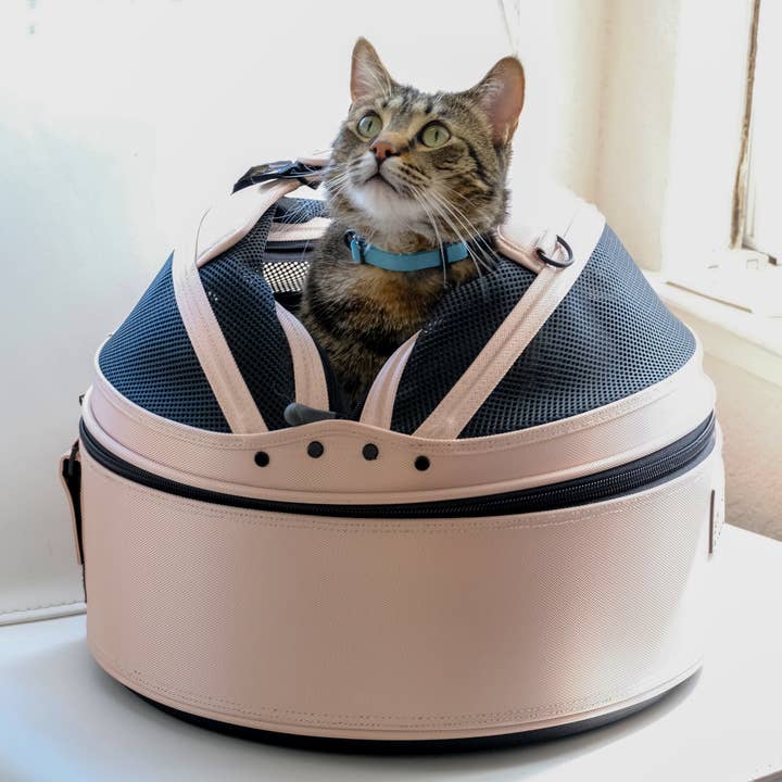 Sleepypod – wholesale Transportbur – Katt och hund – Sleepypod mobil husdjursbädd23