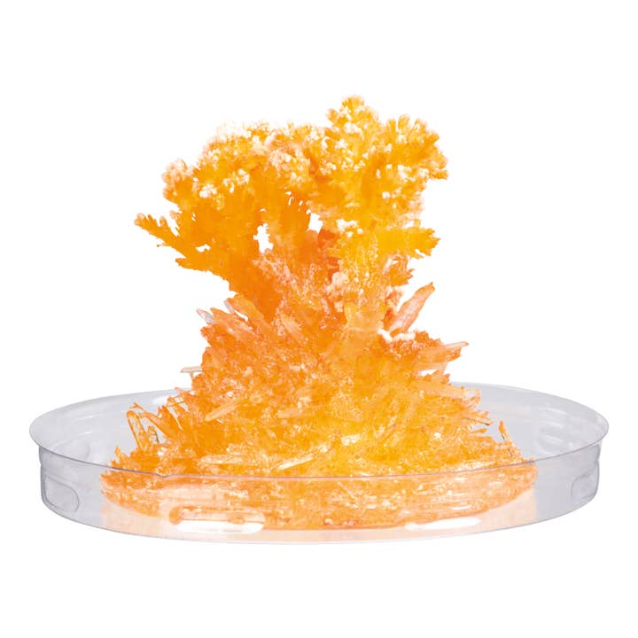 Toysmith - Wholesale Toy Set - Kids - Toy Science Growing Crystals3