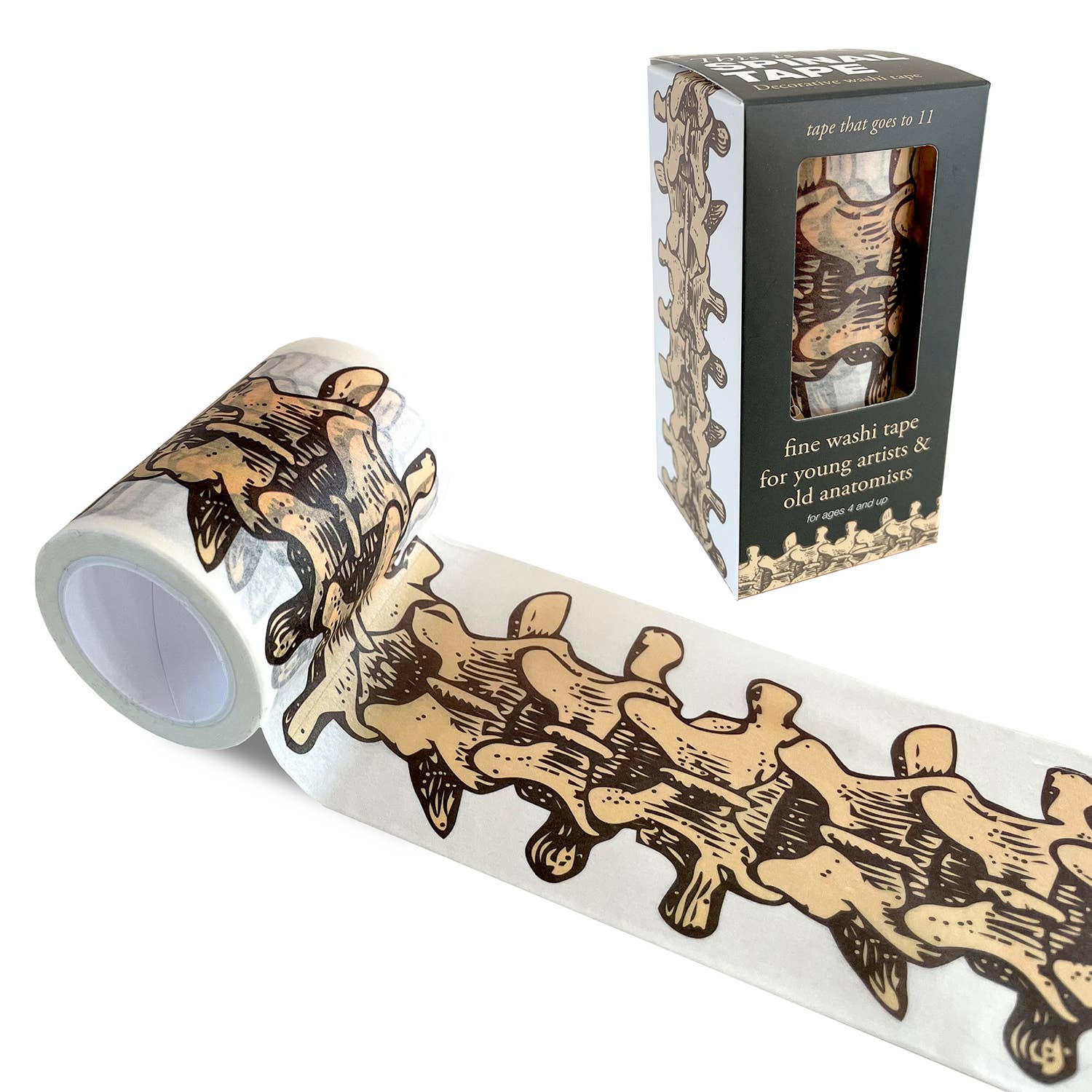 Copernicus Toys – wholesale Washi tape – This Is Spinal Tape |
Skeleton Anatomy Washi Tape
0