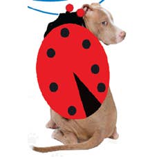 Show & Tail - Vendita all'ingrosso Costume da carnevale - Cani - Abbigliamento per animali domestici - Lady Bug