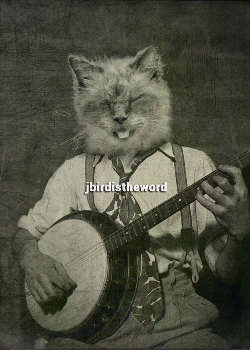 The Wild Oddisorium - Wholesale Art Print - Banjo Cat Print0
