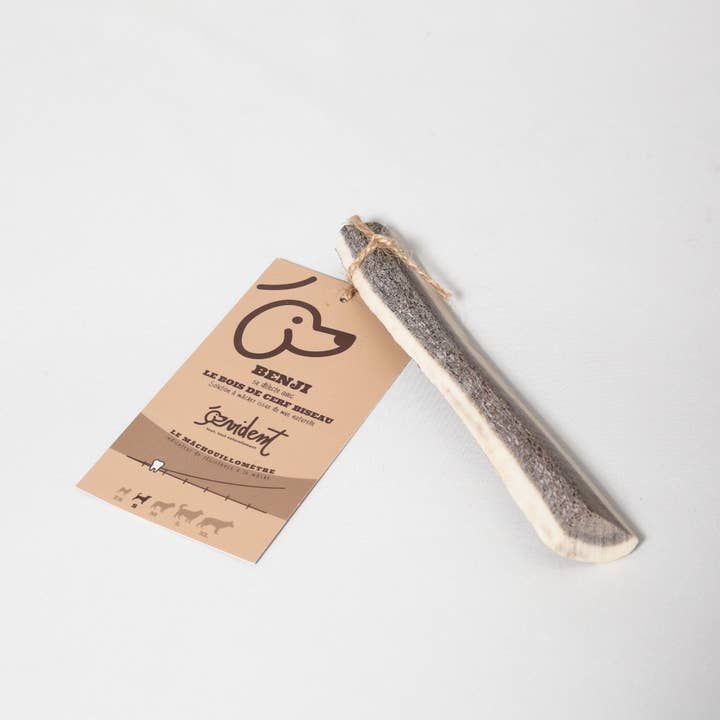 Evident - Wholesale Pet Bone/Rawhide - Dog - BENJI - Deer antler chew bevel for dogs3