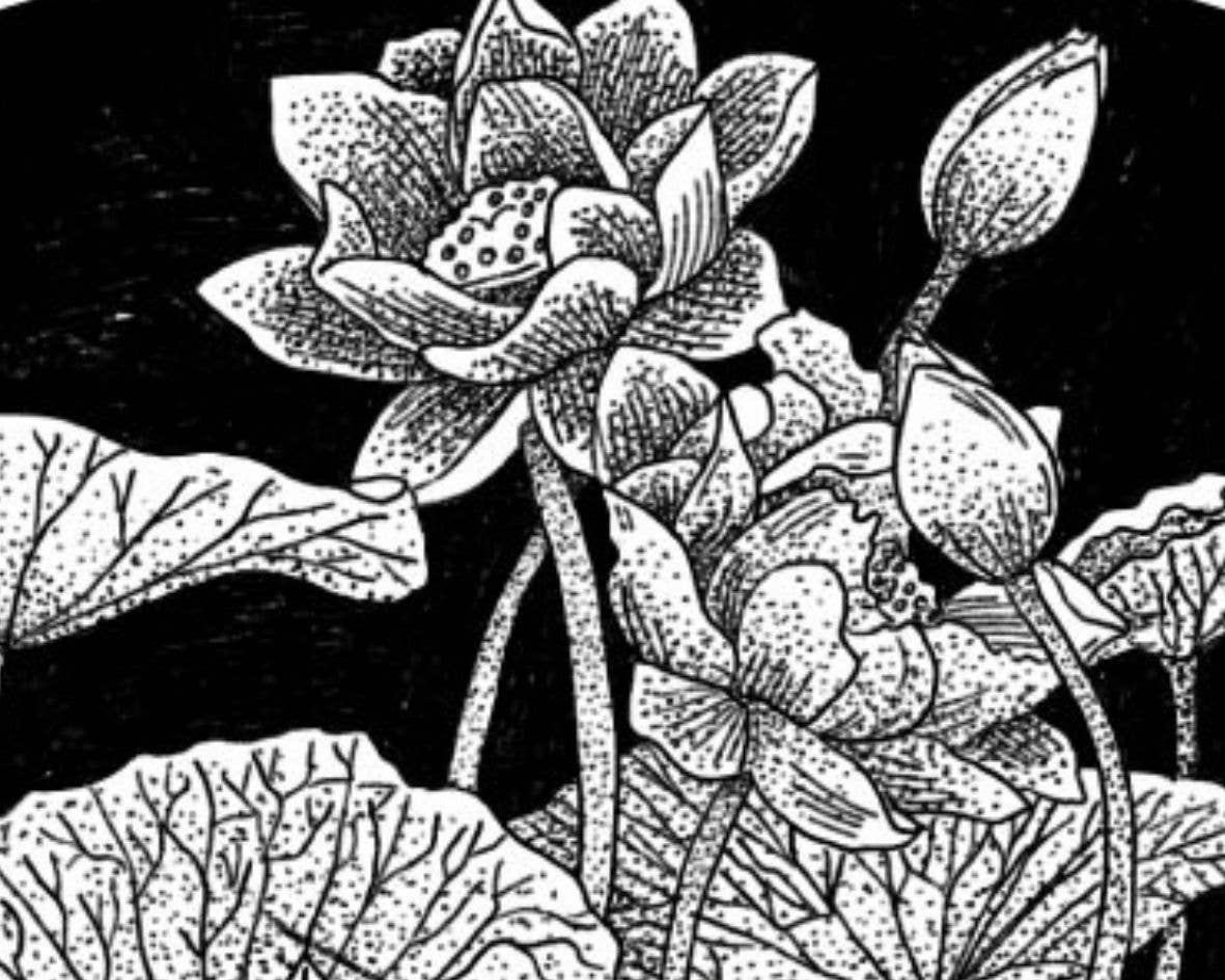 JolieJulie-MaLune-VentiLLo - Wholesale Handheld Folding Fan - Lotus black 13 fan1