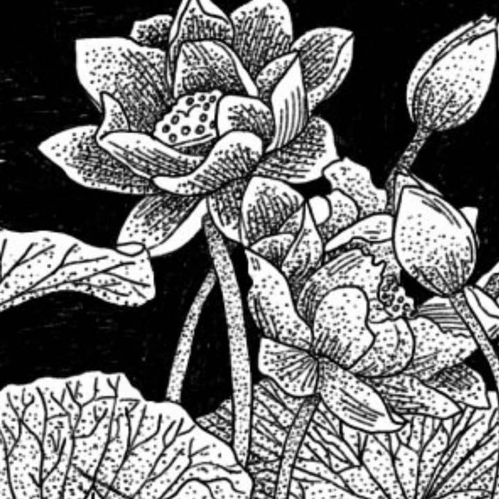 JolieJulie-MaLune-VentiLLo - Wholesale Handheld Folding Fan - Lotus black 13 fan1