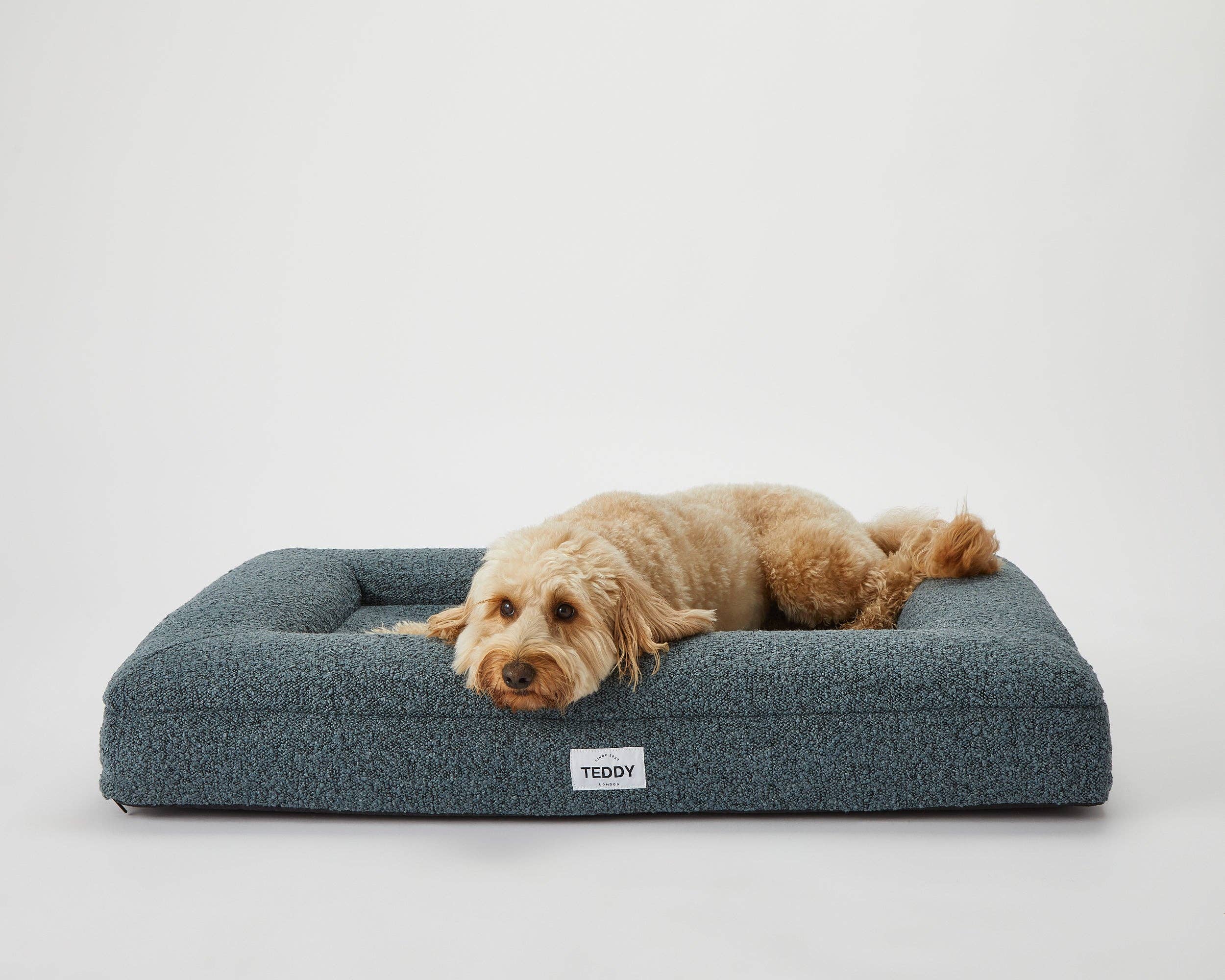 TEDDY LONDON - Wholesale Pet Bed - Dog - NEW MEDIUM BOUCLE BED IN NAVY