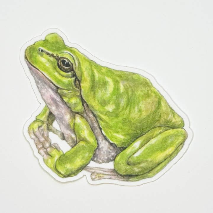 Frog Sticker for wholesale by Hey Hon