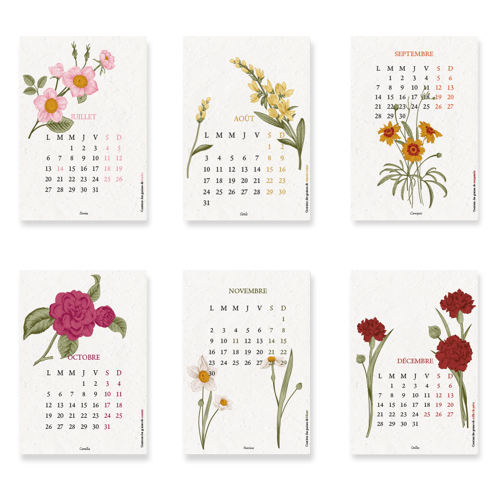 Papier Fleur - Wholesale Calendar - 2026 Planting Calendar, Biodiversity, Large format3