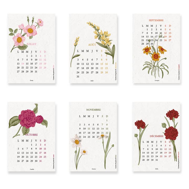 Papier Fleur - Wholesale Calendar - 2026 Planting Calendar, Biodiversity3