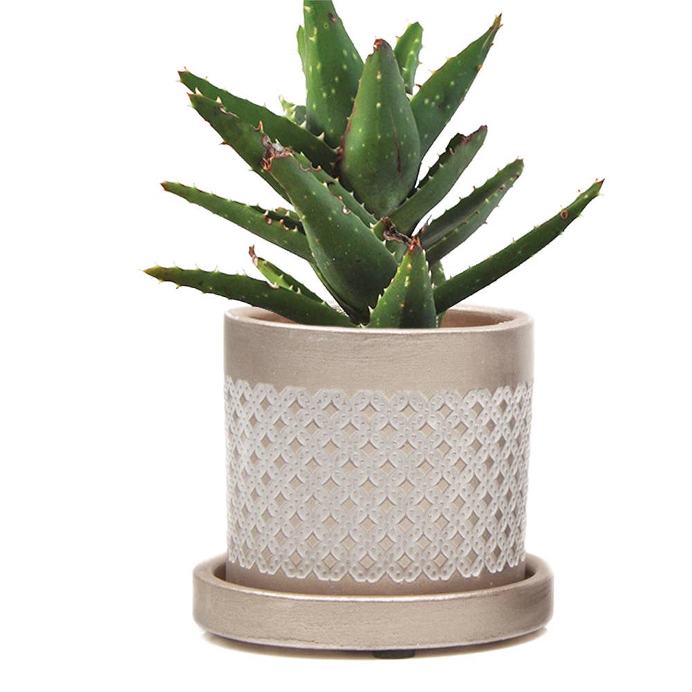 Chive UK - Wholesale Plant Pot - Balter Pot with Saucer for Houseplants, Cacti, Succulents2