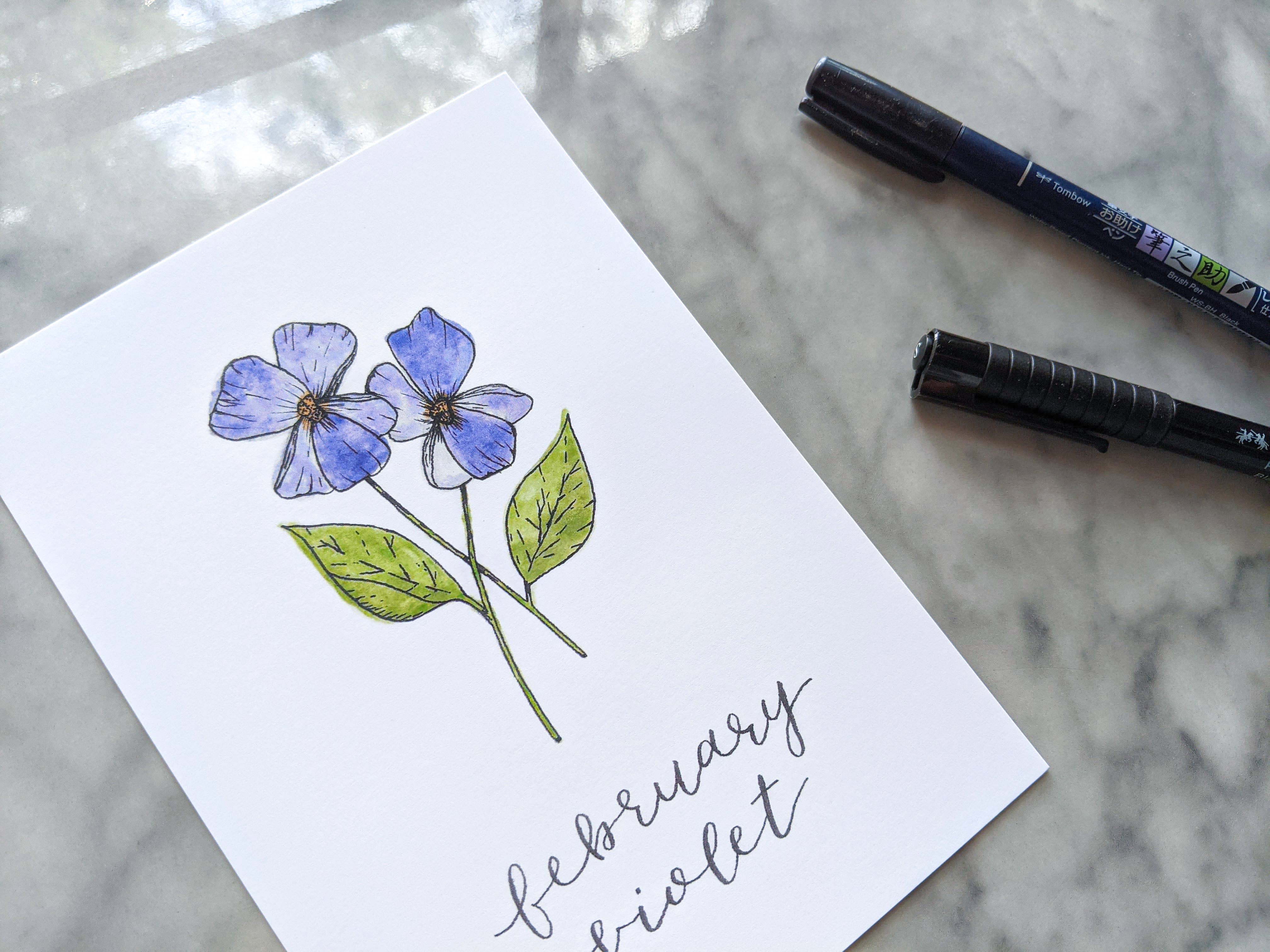 Kallos Ink - Wholesale Art Print - Birth Month Flower Print: February, the Violet5