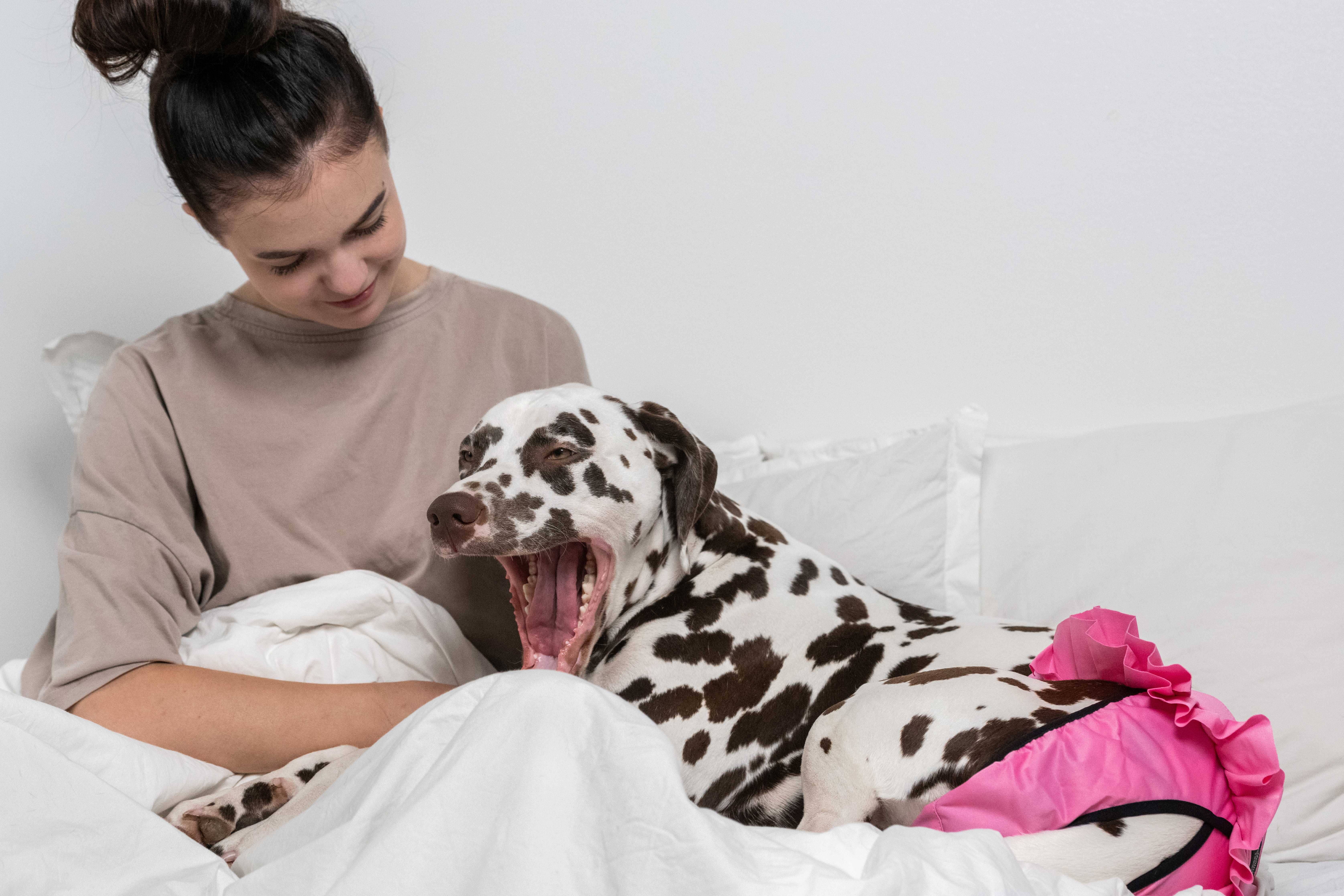 FINNERO – wholesale Husdjursblöja - Hund – FINNERO Ballerina hundhygienbyxor, 5 färger, tvättbara21