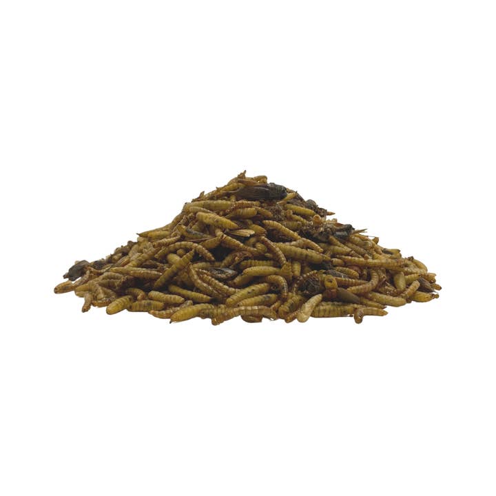 TropicZone - Wholesale Pet Supplement - Not Cat/Dog - TropicZone Insect Treat & Dietary Aide5