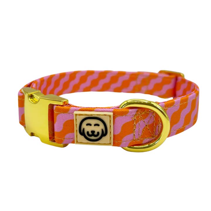 Mango - Hundehalsbånd for engroshandel hos Molly & Co.